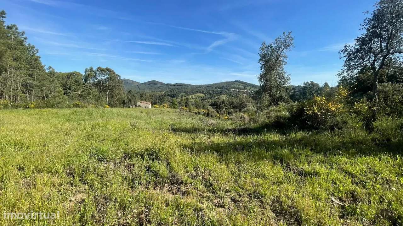 Terreno rústico em Aranhas, Penamcor - Grande imagem: 3/7