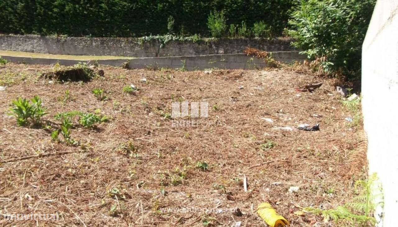 Terreno murado para venda, Moledo, Caminha - Grande imagem: 5/5