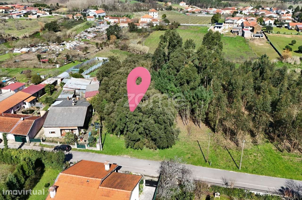 Terreno para Construção | Fogueira | Sangalhos |Anadia - Grande imagem: 5/15