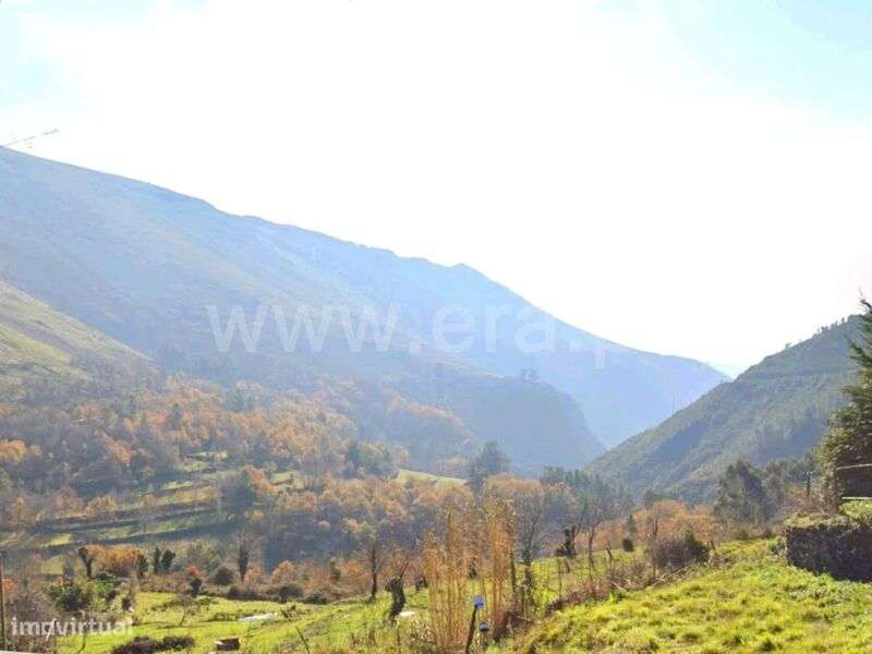 Terreno / Baião, Teixeira e Teixeiró - Grande imagem: 2/17