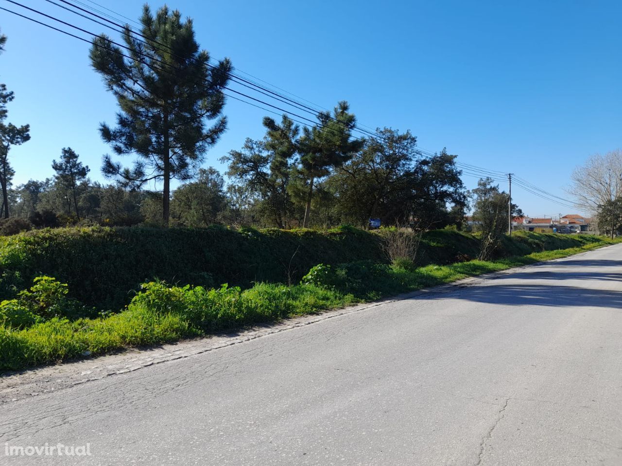 Azeitão Terreno com 10500 M2 de gaveto.