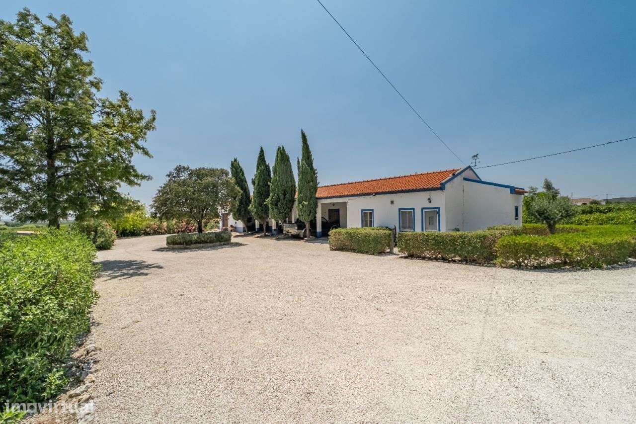 Quinta | Venda | ALENTEJO-44