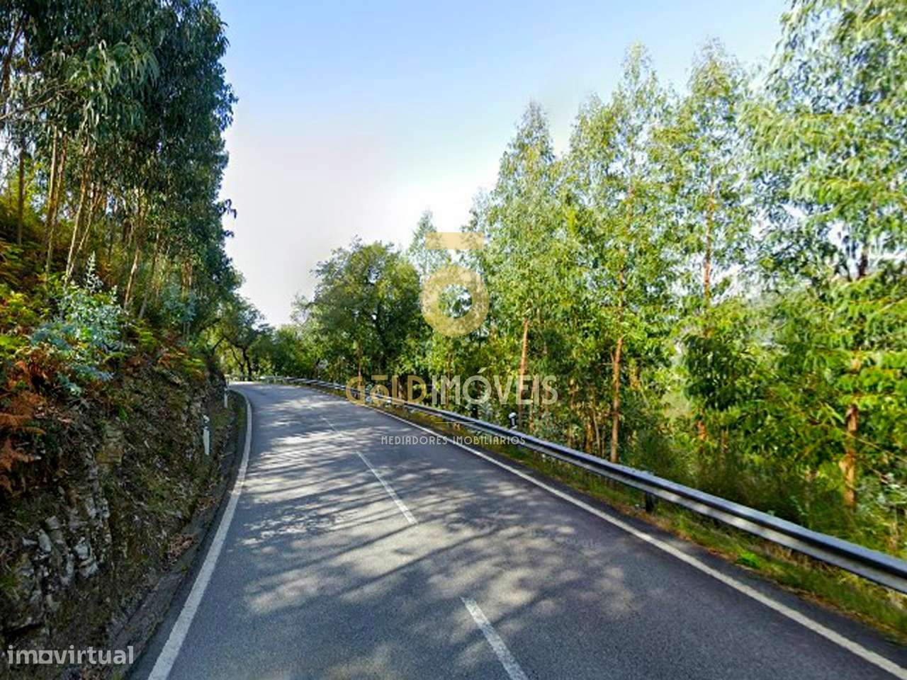 Terreno Florestal em Raiva - Castelo de Paiva - Grande imagem: 4/4