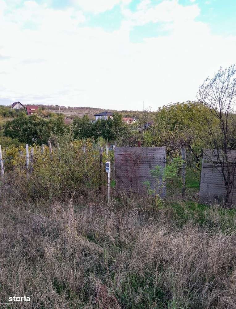 Teren Cârcea - Imagine principală: 2/8