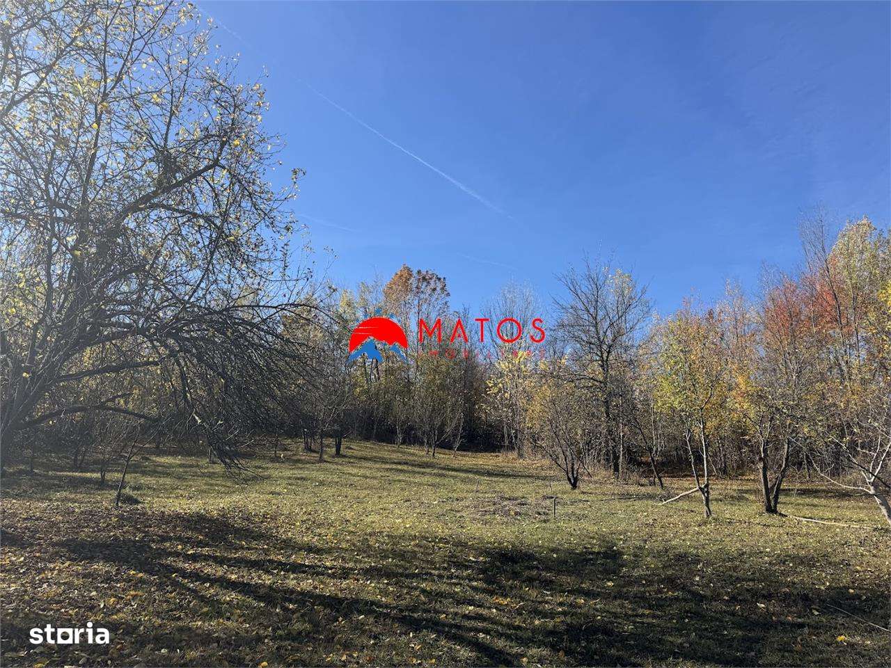 Teren intravilan 6.842 mp de vanzare in Poiana Campina, vedere placuta-4