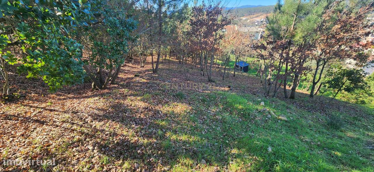 Terreno para construção com  área de 1930m2 - Grande imagem: 4/5