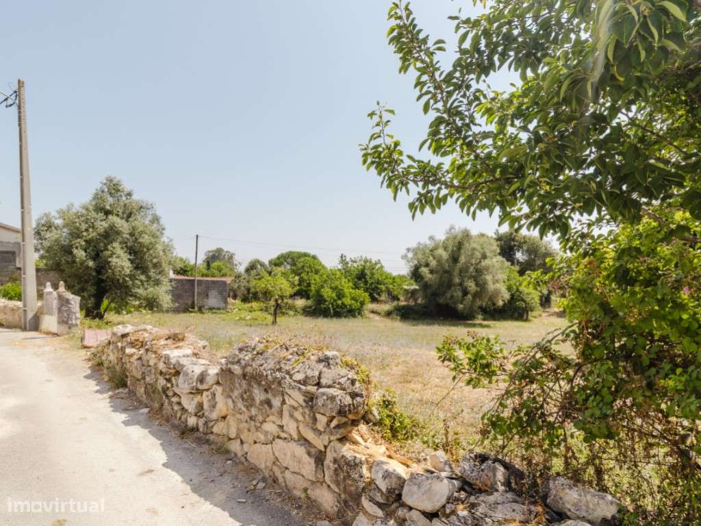 Terreno para construção em Vila Nova-Cantanhede - Grande imagem: 5/11