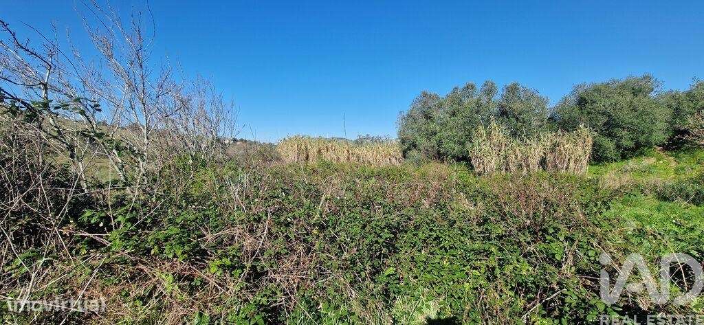 Terreno em Venda do Pinheiro e Santo Estêvão das Galés de 2125,00 m2 - Grande imagem: 4/13