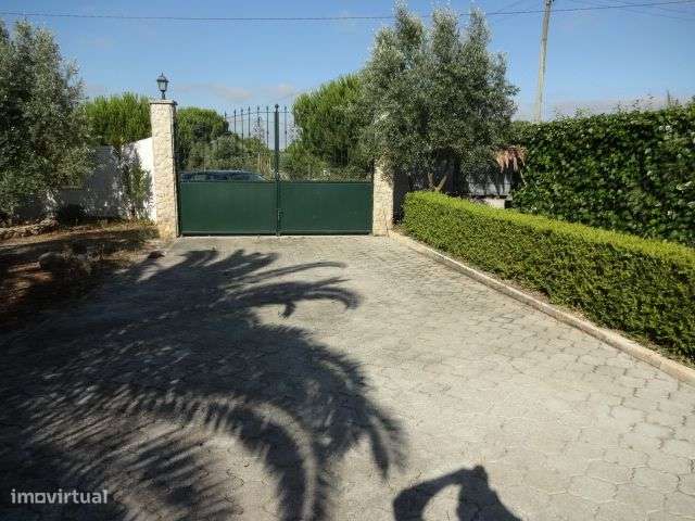 Quinta T/7 Cartaxo-34