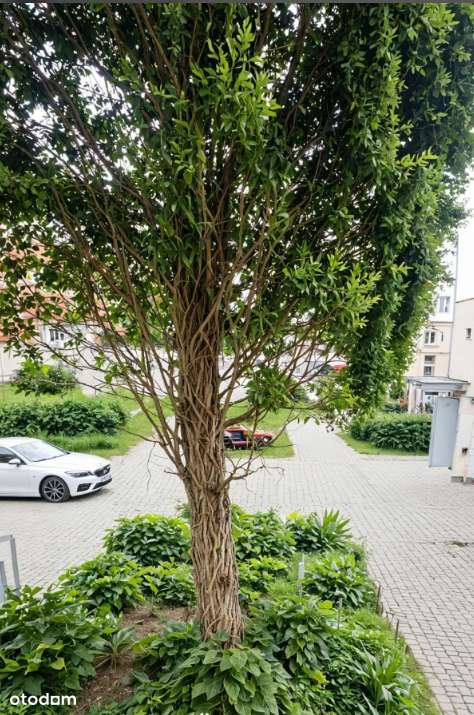 Mieszkanie, 35,40 m², Warszawa-6