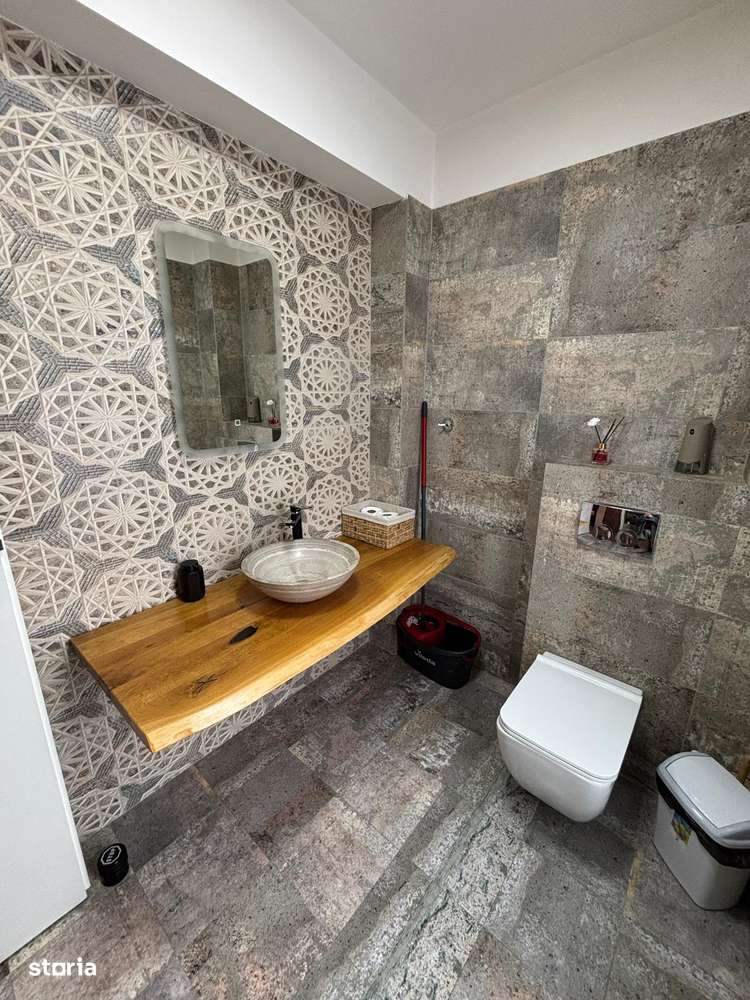 Particular, fara TVA - Berceni - Miorita , 247.000 euro - 240 mp utili-16