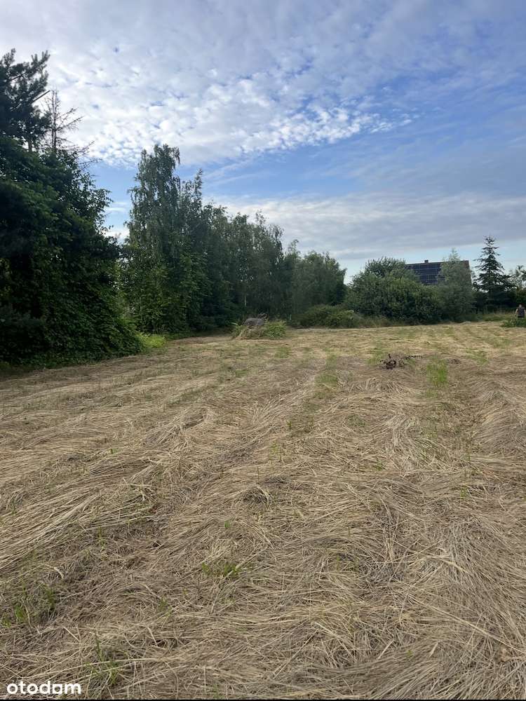 Ogrodzona działka 32 ary  w Ramiszowie koło Wrocławia - Pełny obrazek: 5/7