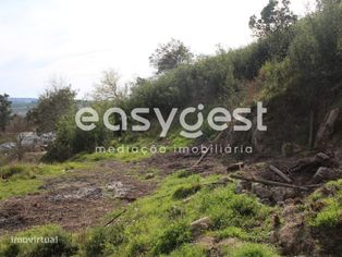 Terreno com 2703m2 em Santos Evos - Grande imagem: 2/6