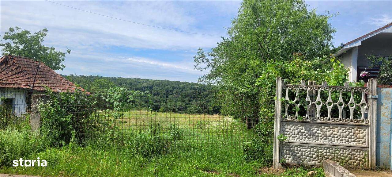 Teren intravilan,Betfia,Zona Caii din Vale - Imagine principală: 1/4