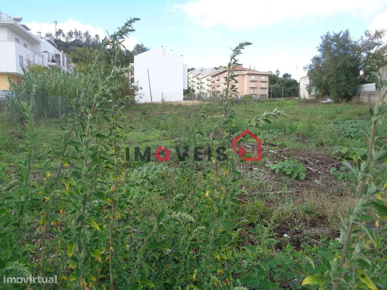 Lote construção de prédio - Grande imagem: 3/3