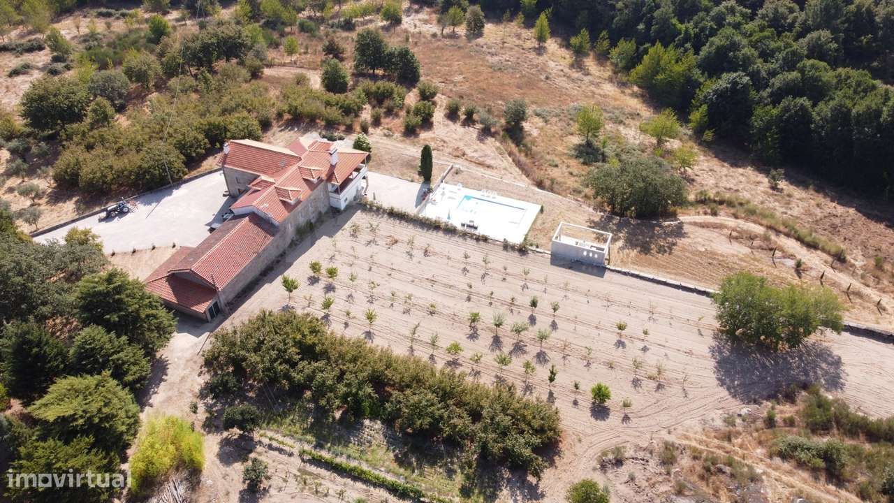 Quinta com 25–27 ha, vinha em produção, olival e piscina – Serra da... - Grande imagem: 5/8