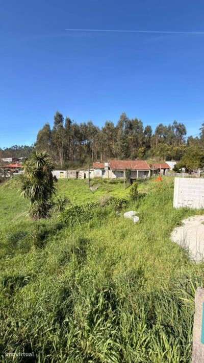 Moradia para restauro em Tebosa - Grande imagem: 4/4