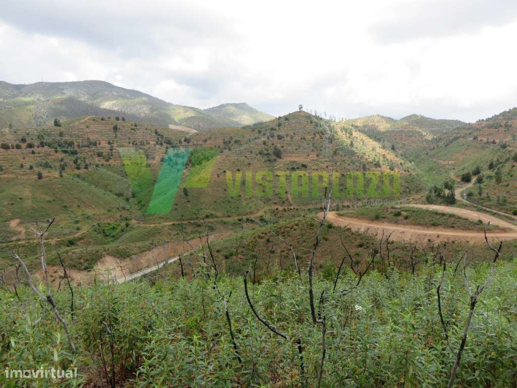 Terreno Rustico com 5 hectares com Vista para a Barragem, Monchique... - Grande imagem: 4/21