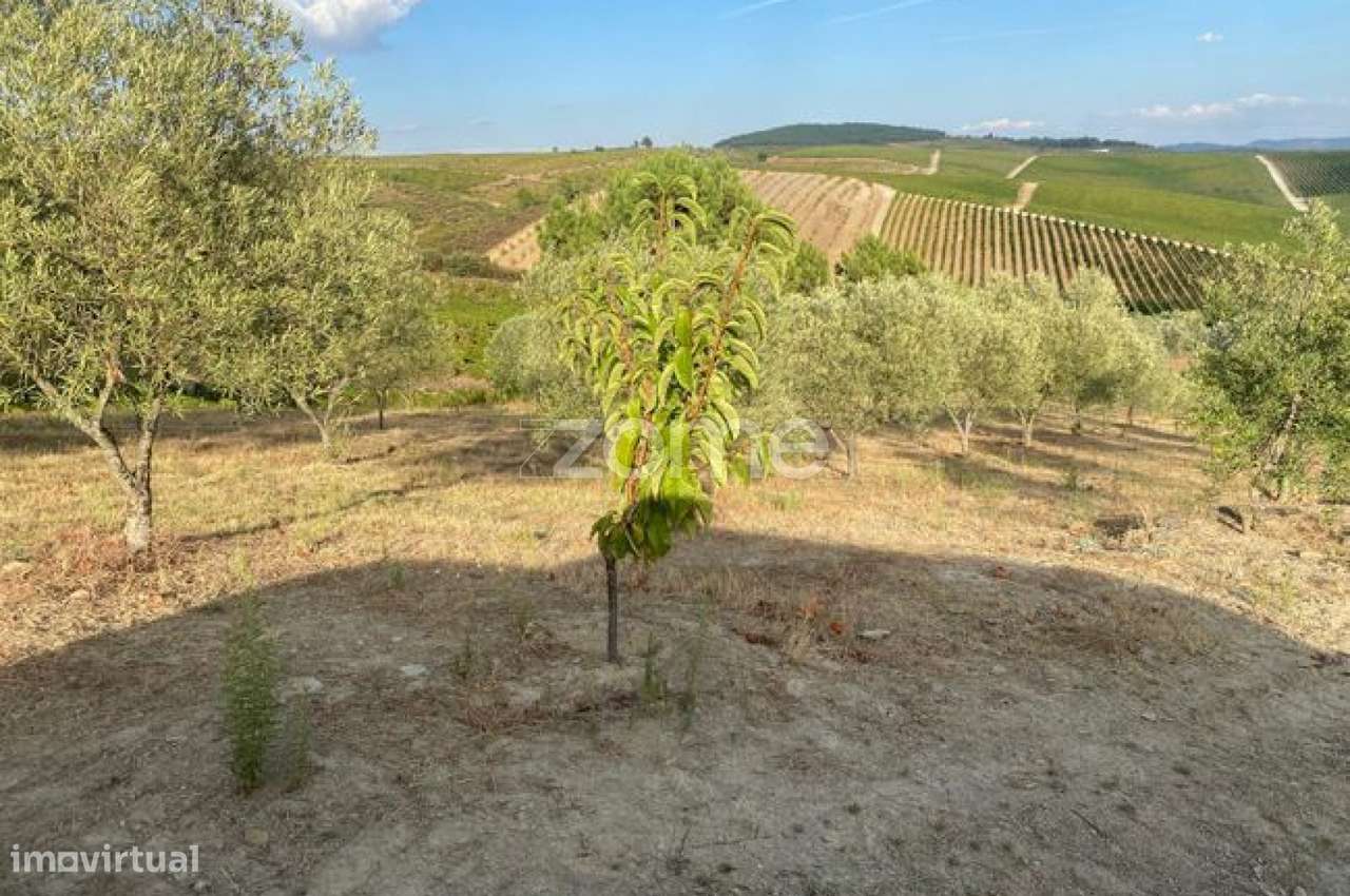 Terreno rústico com 23450 m² de área - Grande imagem: 3/11