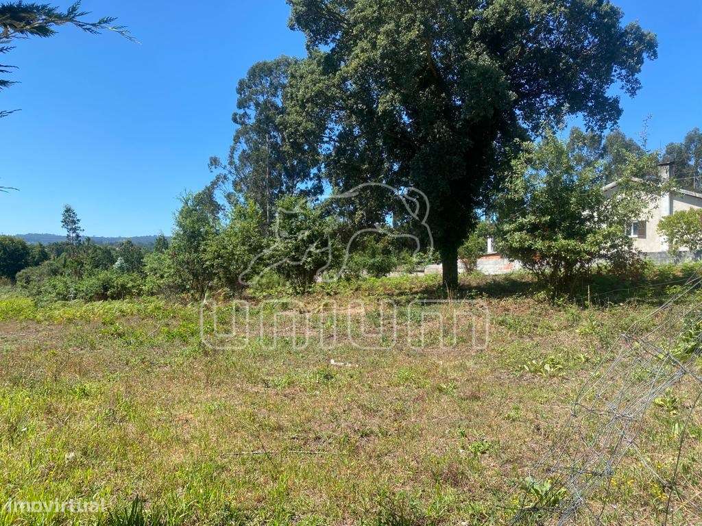 Terreno Fragoso - Grande imagem: 4/6