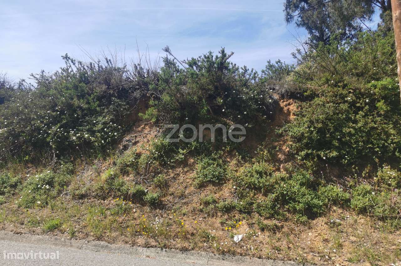 Terreno, para construção, frente para Estrada Real, Recardães, Águe... - Grande imagem: 4/28