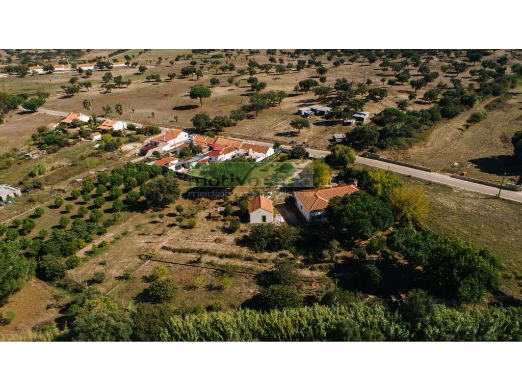 Moradia Térrea T4 em Quinta de 11.250 m² com Árvores de Fruto. Em S...-45