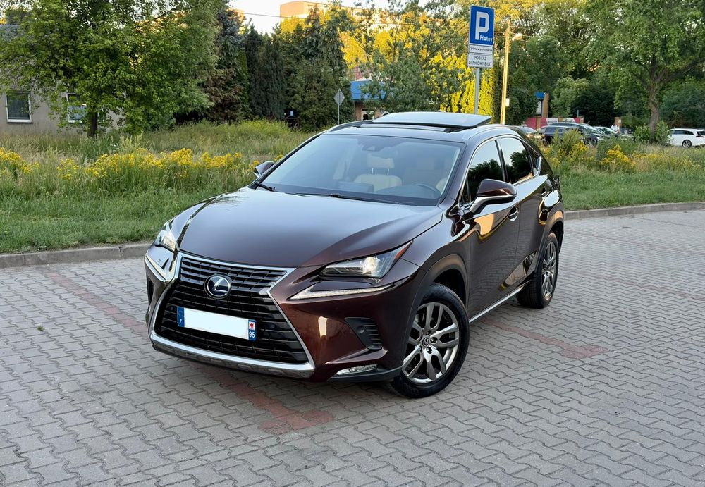 Lexus NX I (2014-2021) 300h Elite AWD 2020