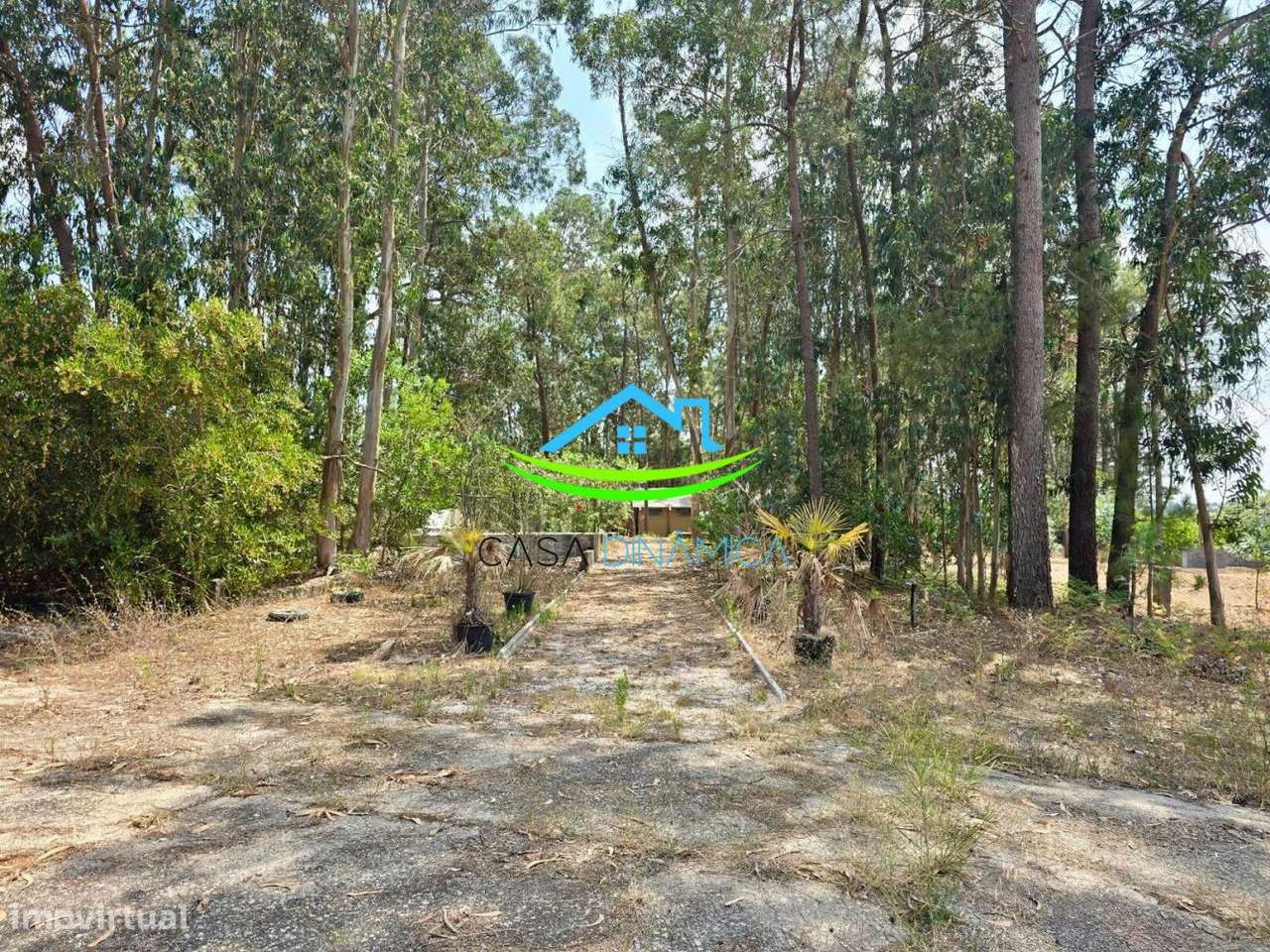 Terreno com 8.369 m² e possibilidade de construção – Arazede, Mon-17