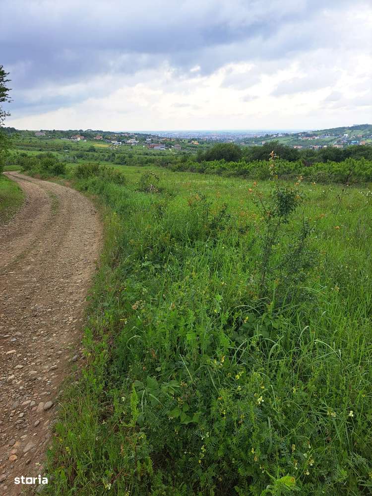 Teren intravilan 806 mp în Saldabagiu de Munte com. Paleu - Imagine principală: 2/7