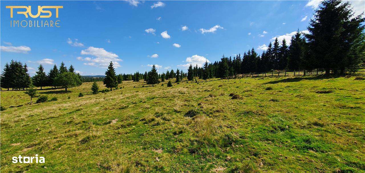 Oportunitare | Teren 1350 mp cu PUZ | Belis-7