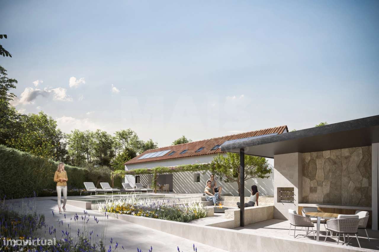 Reabilitação de Adega com Projeto Aprovado para Moradia T4 (*Possib... - Grande imagem: 4/25