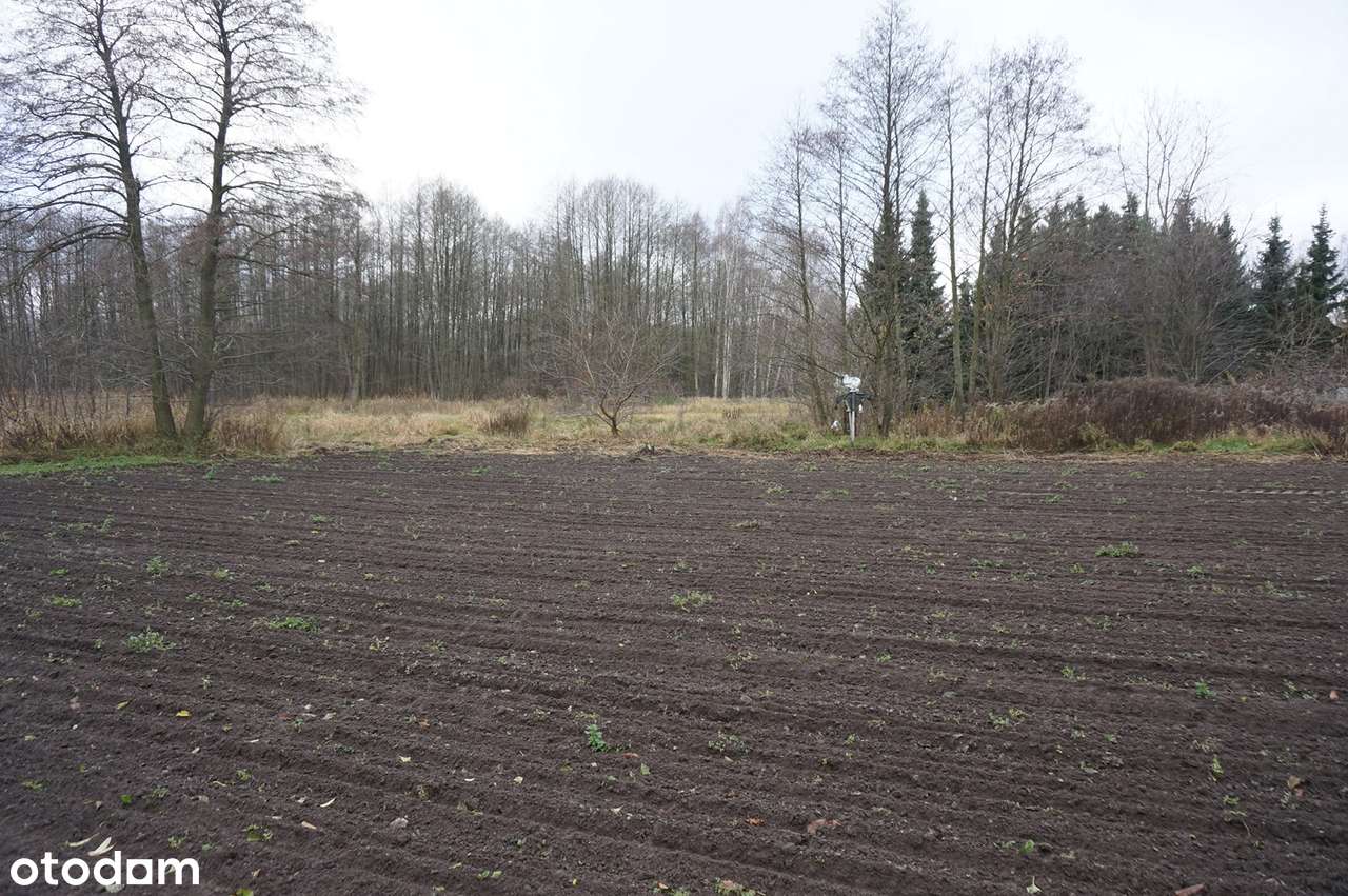 Teren budowlany w Aleksandrii k. Ozorkowa (1.960 m2) - Pełny obrazek: 5/8