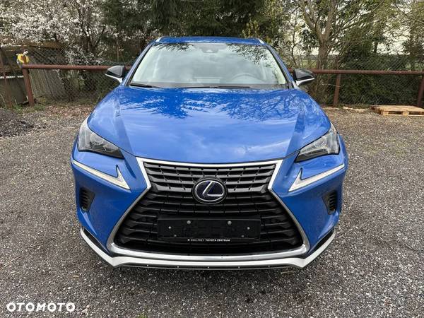 Lexus NX 300h Style Edition - 5