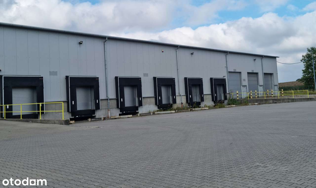 HALE- GĄDKI przy S11. - Pełny obrazek: 5/11