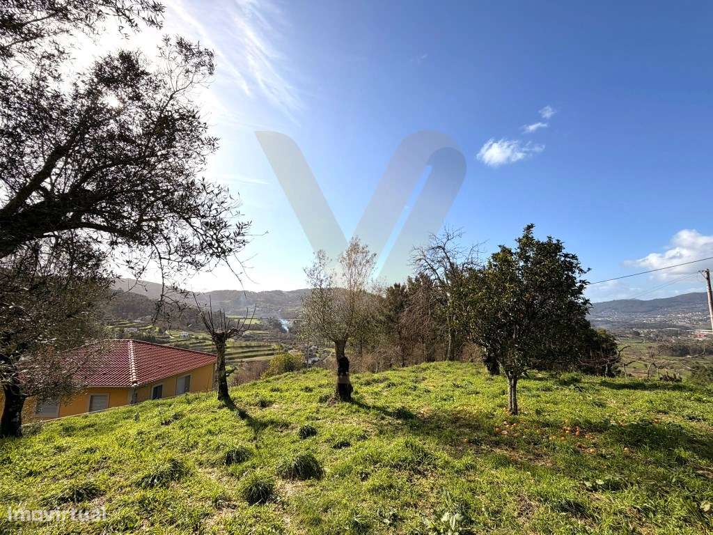 Propriedade com Casa Antiga T3 para Restauro - Beiral do Lima-17