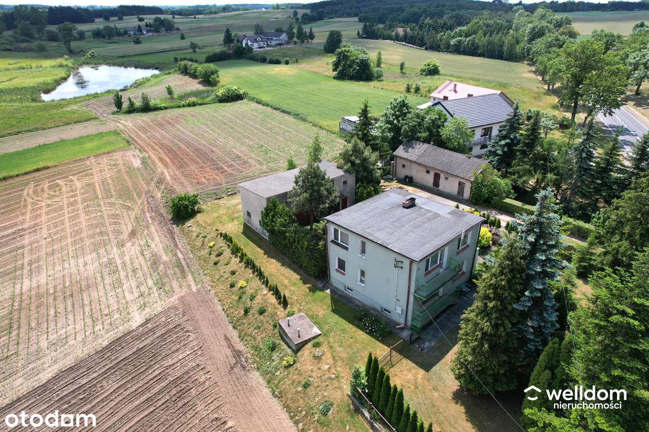 Siedlisko ze stawem, duża działka, budynki gospodarcze, blisko Lipna. - Pełny obrazek: 2/19