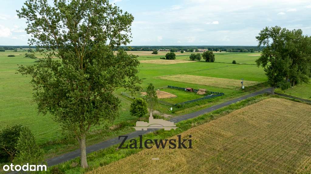 Działka budowlana z rozpoczętą budową - Krzemów - Pełny obrazek: 5/13