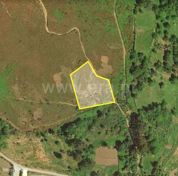 Terreno / Baião, Teixeira e Teixeiró - Grande imagem: 4/17