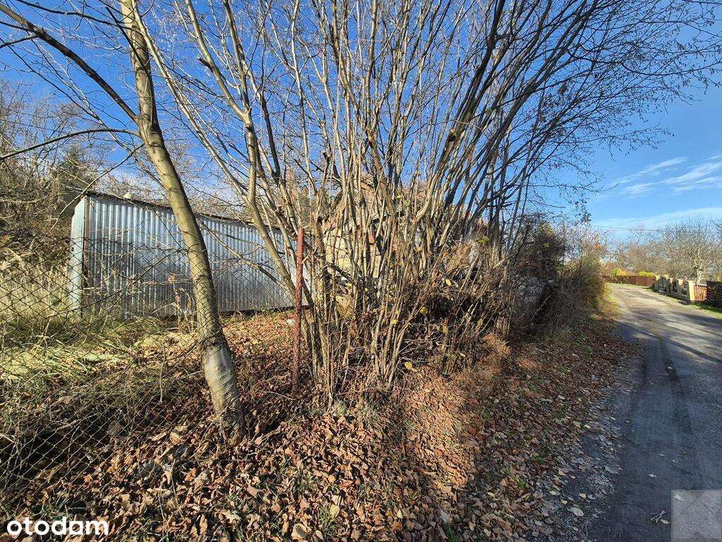 Dom Przemyśl do remontu lub rozbiórki - Pełny obrazek: 5/5