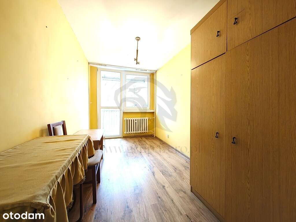 Uwaga! Tu skaczą Gumisie nie lokatorzy - Pełny obrazek: 3/20