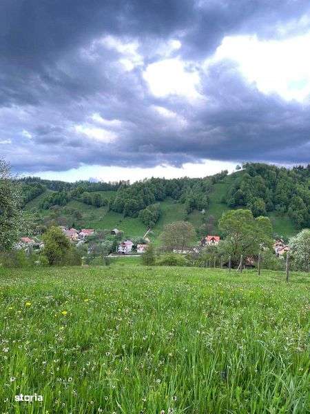 PROPRIETAR - 3274 mp intravilan Simon (BRAN) - Imagine principală: 4/8