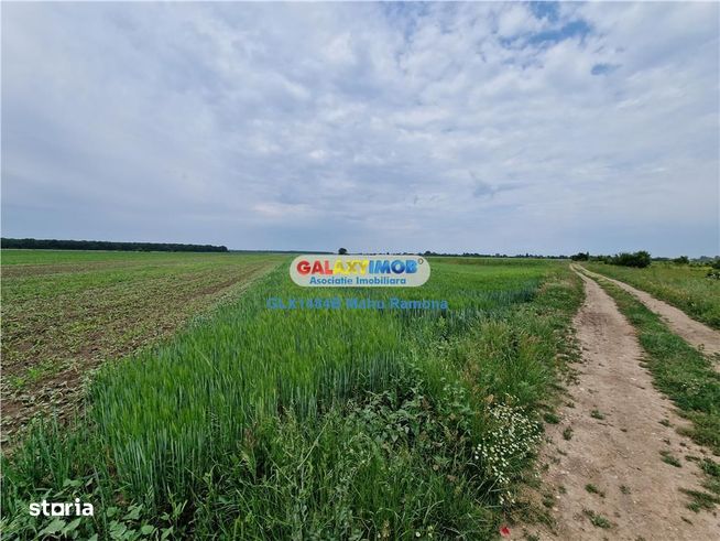 Teren agricol intravilan Uliesti, sat Ragu, apropiere Autostrada A1