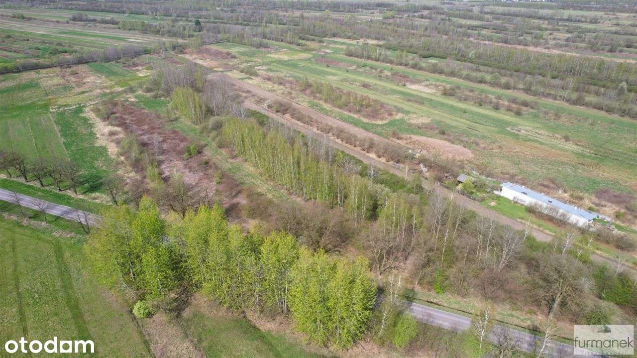 Działka inwestycyjna na obrzeżach miasta - Pełny obrazek: 5/11