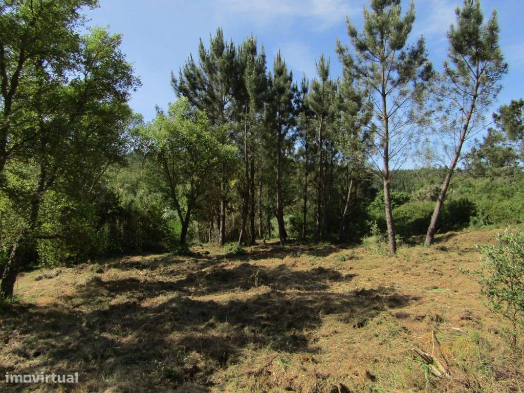 P26-238 Casal da Loba - Terreno Urbanizável no Centro de Portugal e...-19