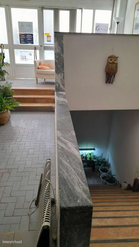 Espaço luminoso e tranquilo ideal para escritório, clínica, ou fitness - Grande imagem: 5/8