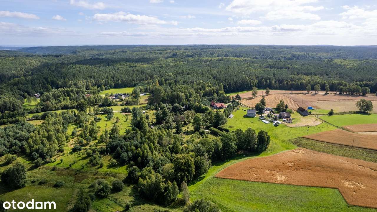 Wyjątkowa nieruchomość gruntowa o powierzchni 1,9572 ha - Pełny obrazek: 4/8