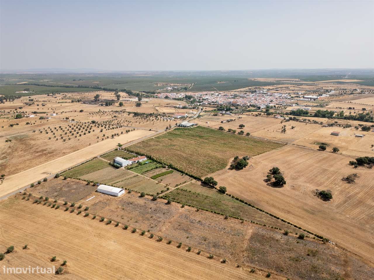 Quinta Biológica - Monte de Palma em Sao Manços com negócio. - Grande imagem: 5/54