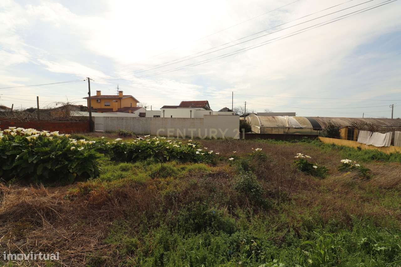 Terreno á venda na Rua das Arroteias em Avanca - Grande imagem: 5/17