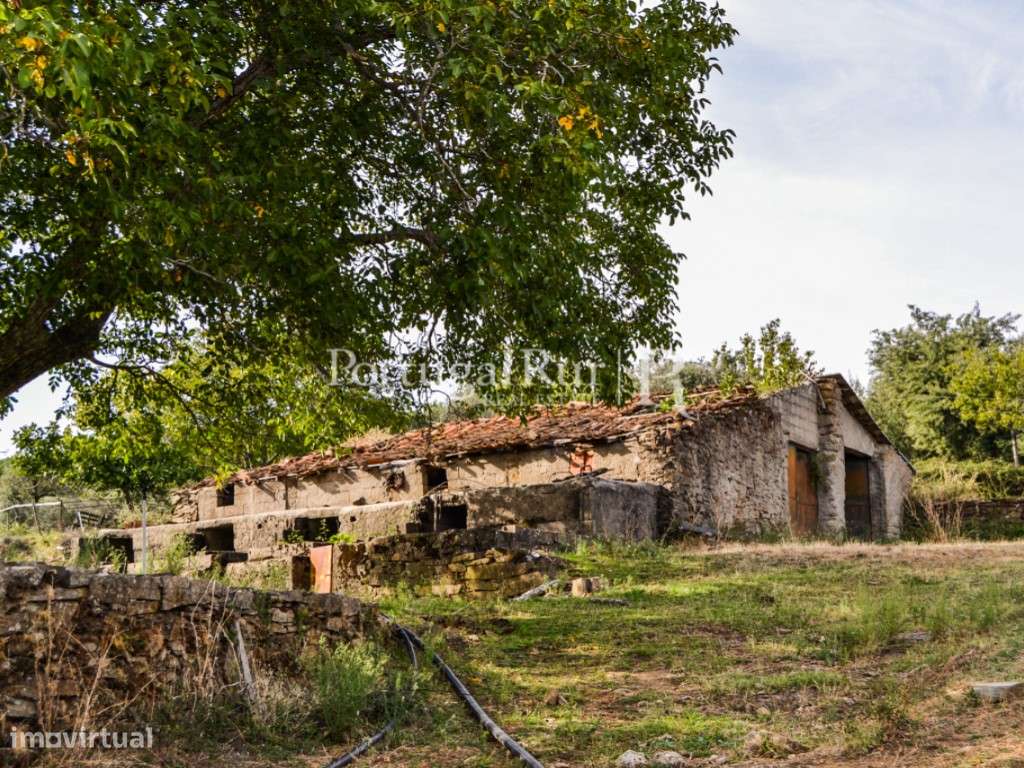 Quinta de 57ha com várias construções na zona da Covilhã - Grande imagem: 5/44