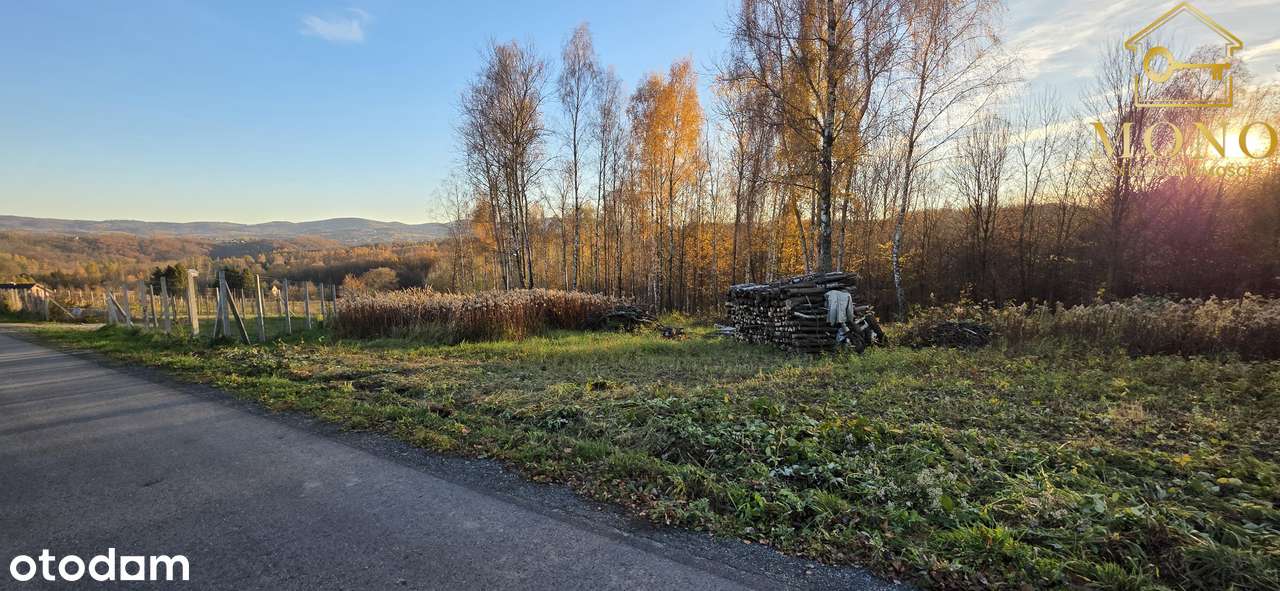Duża, widokowa działka z lasem na terenie Pogórza Ciężkowickiego-8
